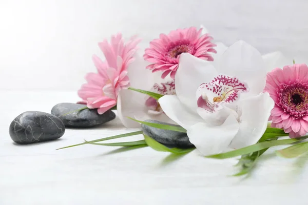 Fermer Sur Belle Orchidée Blanche Marguerites Roses Sur Cailloux Noirs — Photo