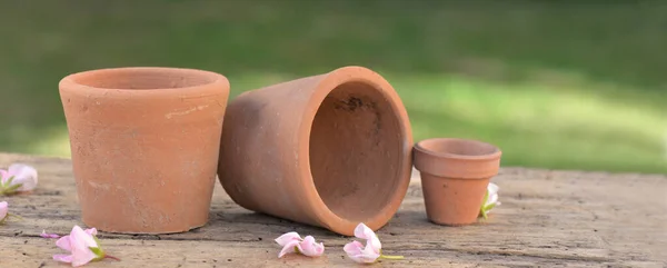 Stoel Potten Een Houten Terras Een Tuin — Stockfoto