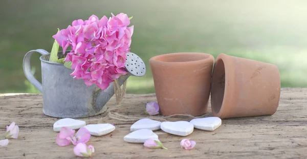 花园桌子上的小水壶和花盆装饰着心形和粉红色的花朵 — 图库照片