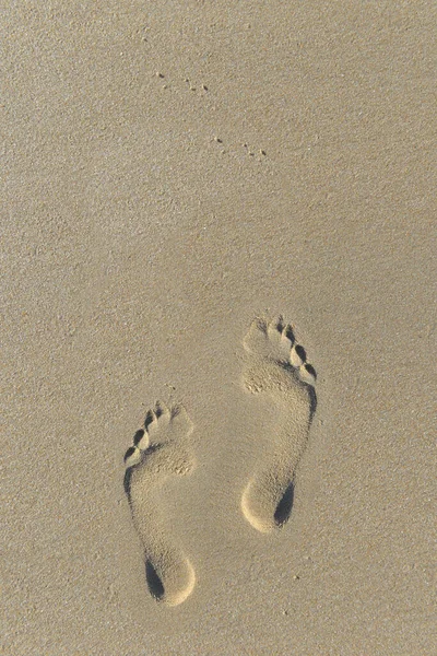 俯瞰沙滩上的脚印 — 图库照片