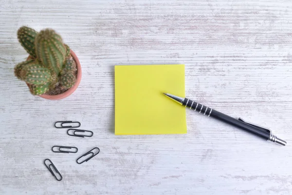 Vista Dall Alto Carta Matita Gialla Con Vaso Cactus Clip — Foto Stock