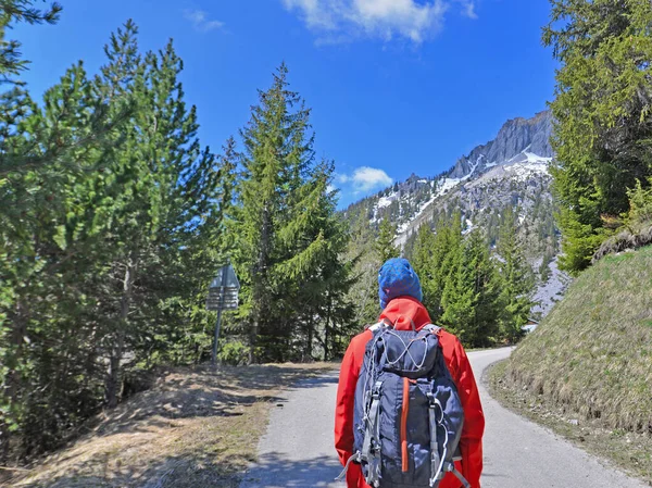 Turista Vidět Zezadu Batohem Silnici Přes Alpské Hory — Stock fotografie