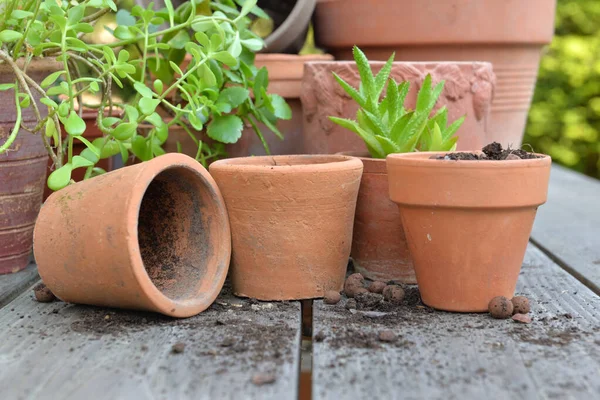 Close Terra Cotta Flower Pots Plants Shovel Table Garden — Stock Photo, Image