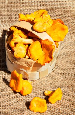 Sepette Chanterelles