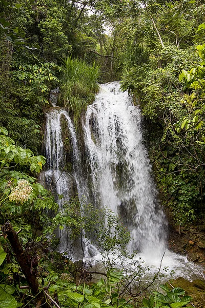 Cascata Giungla Nella Foresta Pluviale Tropicale Con Roccia — Foto Stock