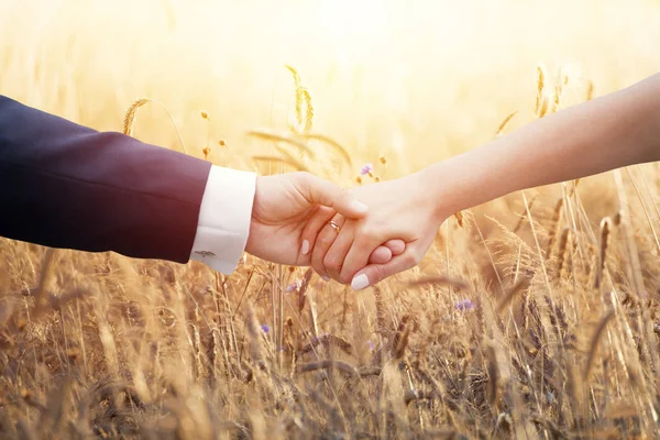 Свадебная пара, держащаяся за руки над кукурузой — стоковое фото