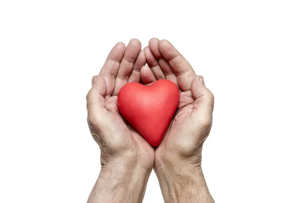 Starzec Ręce Czerwonym Sercem Zawiera Ścieżkę Przycinającą — Zdjęcie stockowe