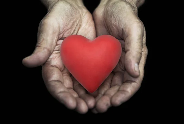 Coração Vermelho Mãos Seniores Sobre Fundo Preto — Fotografia de Stock
