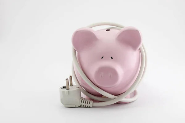 Besparingen Energieconcept Piggy Bank Met Stekker — Stockfoto