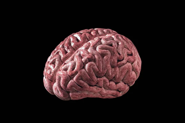 Brain Blood Isolated Black Background Clipping Path — Stock Photo, Image