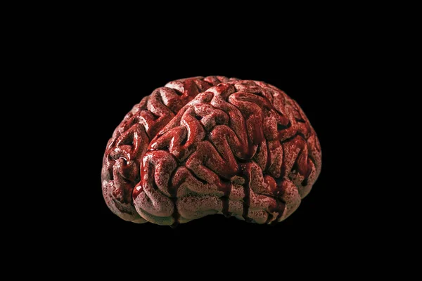 Bloody Brain Isolated Black Background Clipping Path — Stock Photo, Image