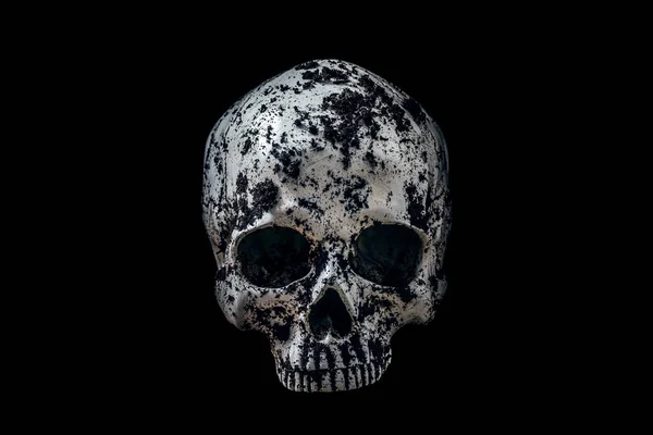 黑土中的人类头骨在黑色背景下与切割路径隔离 — 图库照片