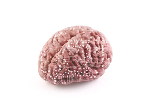 Computer Human Brain Isolated White Clipping Path — Stock Photo, Image