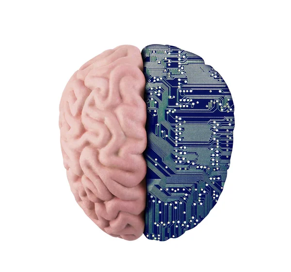 Computer Human Brain Isolated White Clipping Path — Stock Photo, Image