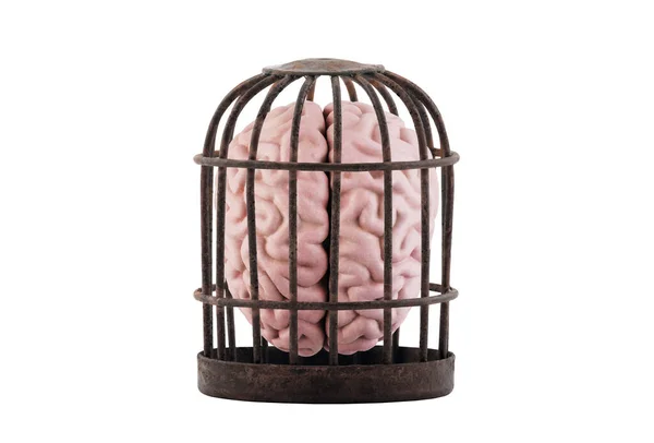 Lidský Mozek Uvězněný Staré Rezavé Kleci Izolované Bílém Osvoboď Myšlenkový — Stock fotografie