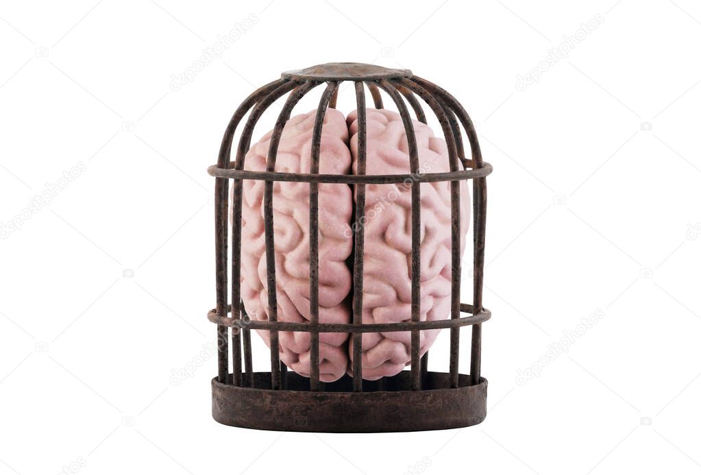 Human brain trapped in old rusty cage isolated on white. Free your mind concept.
