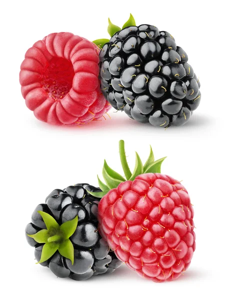 Isolated blackberry and raspberry — Stock Photo, Image