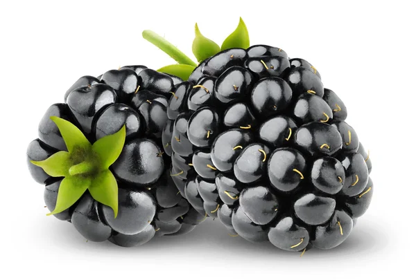 Zwei isolierte Brombeeren — Stockfoto