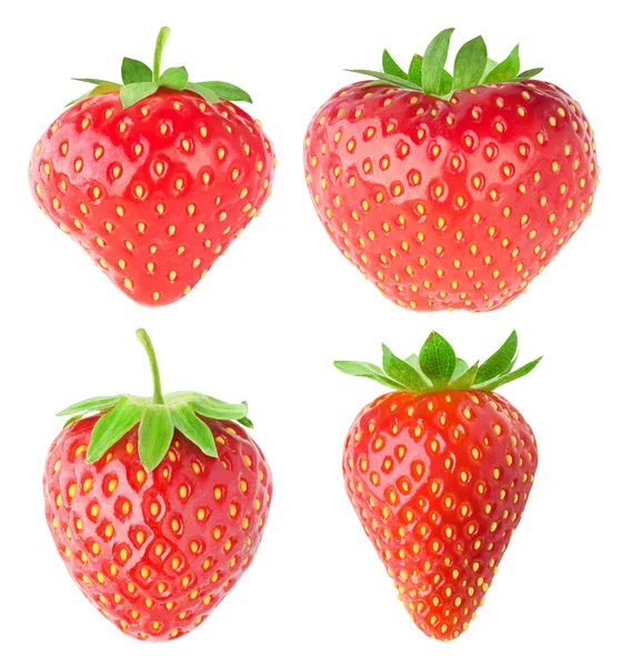 Samling av isolerade jordgubbar — Stockfoto