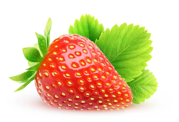 One isolated strawberry — Stock Photo, Image