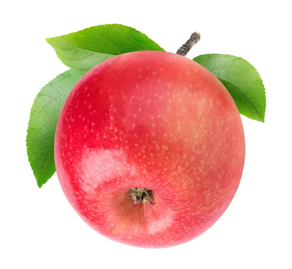 One isolated apple with stem — Stock Photo, Image