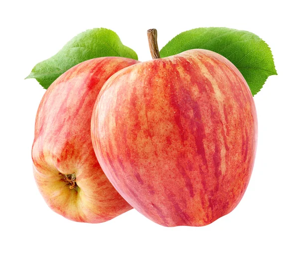 Два изолированных красных яблока — стоковое фото