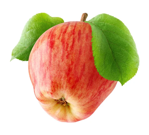 One red apple isolated — Stock Photo, Image