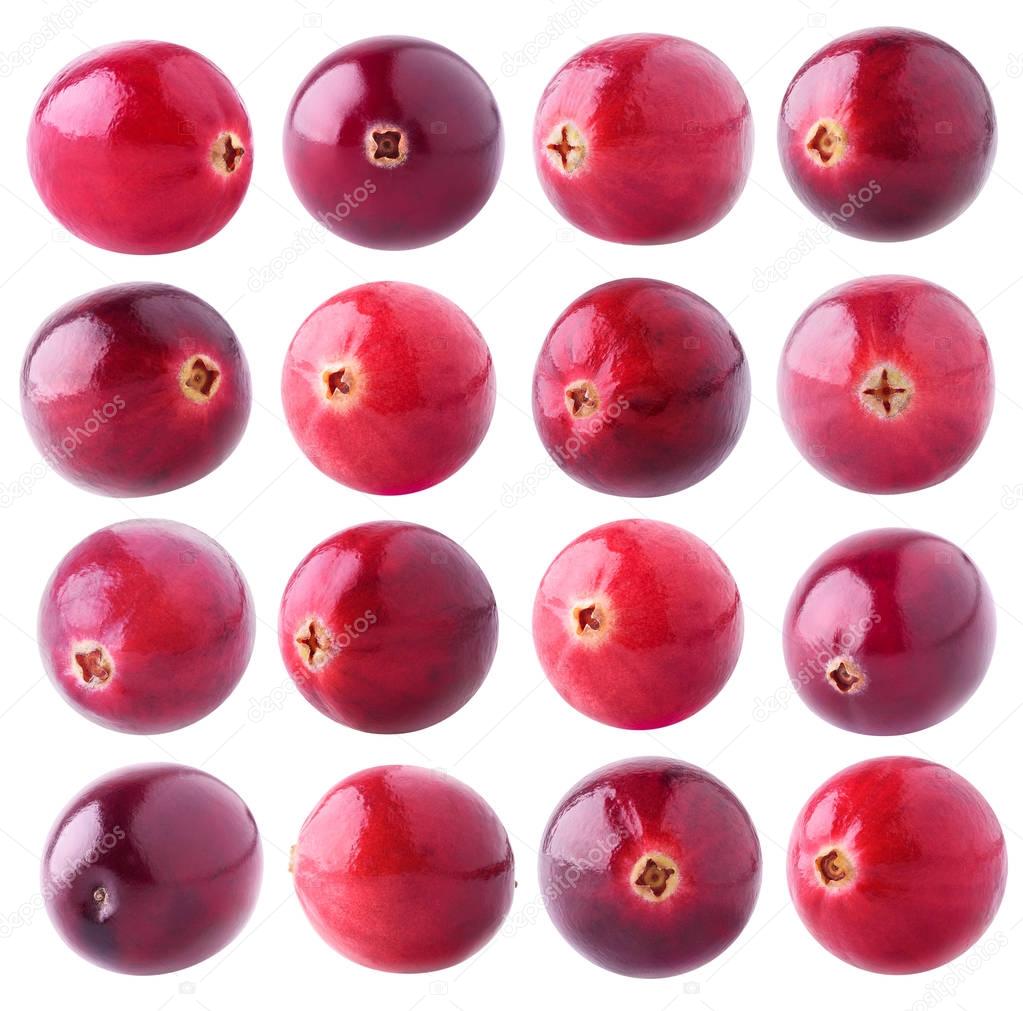 Collection of isolated cranberries