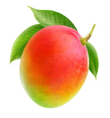 Dal izole mango