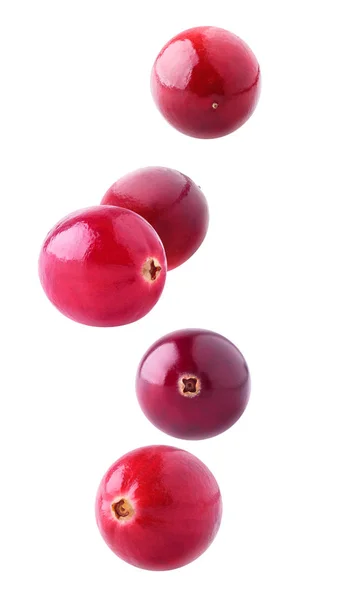 Isolated cranberries falling — Stock Photo, Image