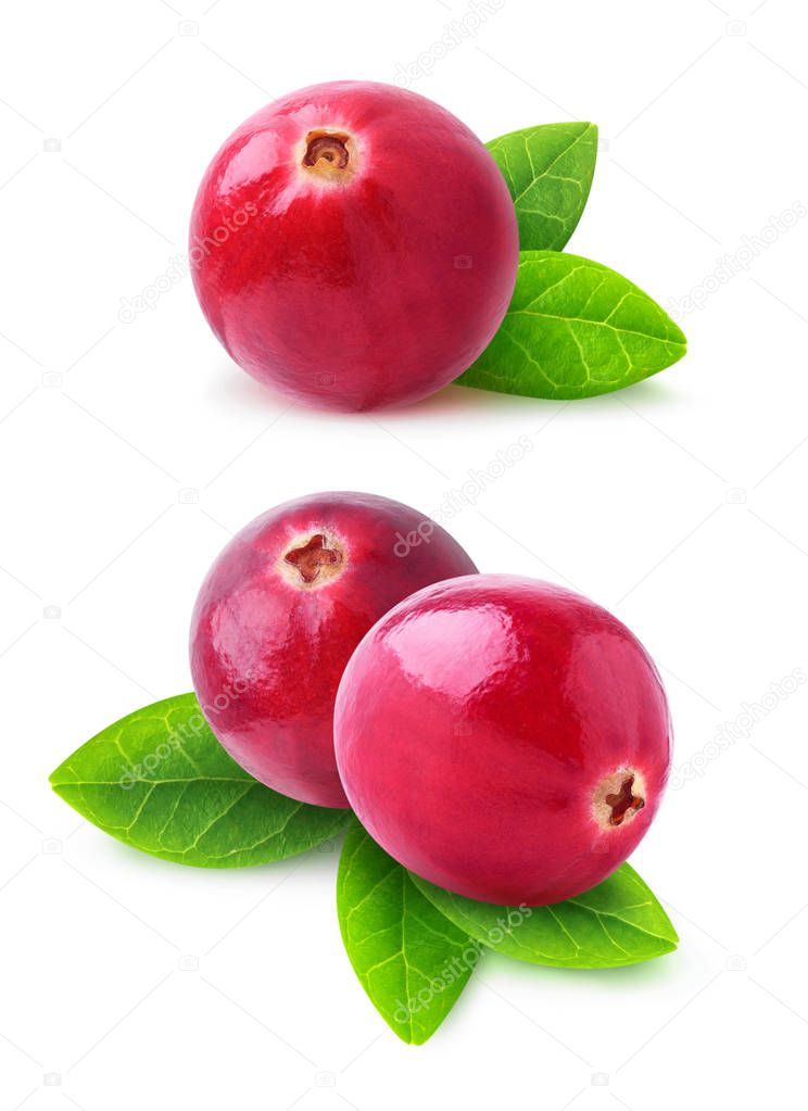 Isolated cranberry fruits