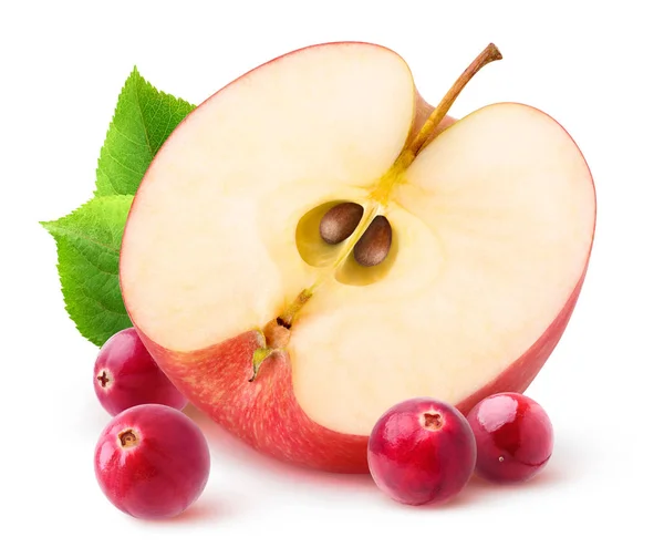 Izolované apple a brusinkami — Stock fotografie