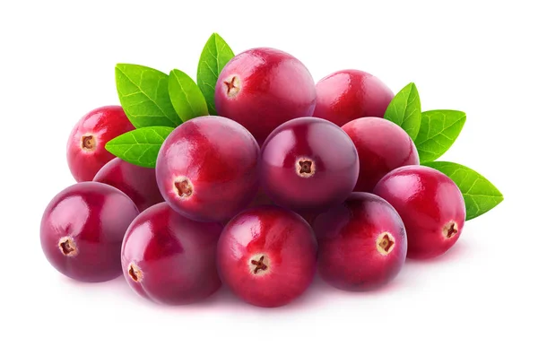 Isolated pile of cranberries — Stock Photo, Image