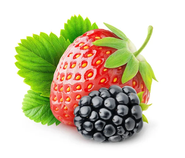 Truskawka na białym tle i blackberry — Zdjęcie stockowe