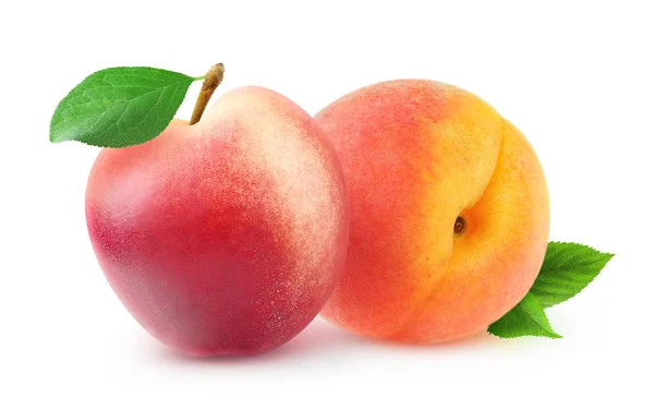 Isolated peach and nectarine — Stock Photo, Image