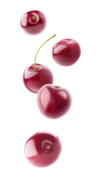 Isolated cherries flying in the air — Stock Photo, Image