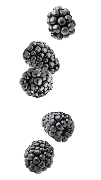Isolated falling blackberries — Stock Photo, Image