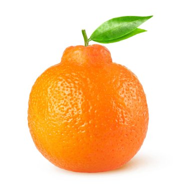 Isolated tangelo citrus fruit clipart