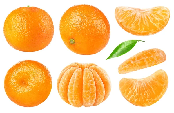 Isolerade tangerine samling — Stockfoto