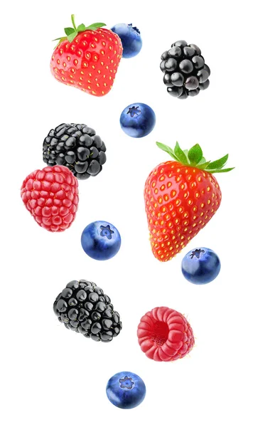 Isolated mixed berries — Stock Photo, Image