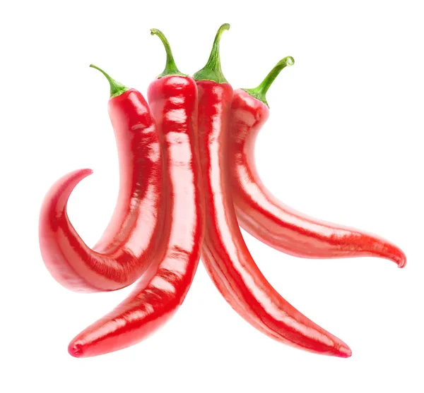 Isolated chili peppers — Stock Photo, Image