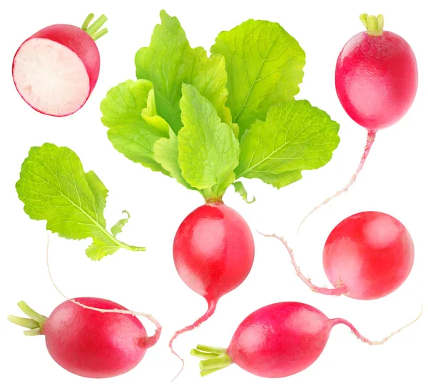 Isolated red radishes collection — Stock Photo, Image