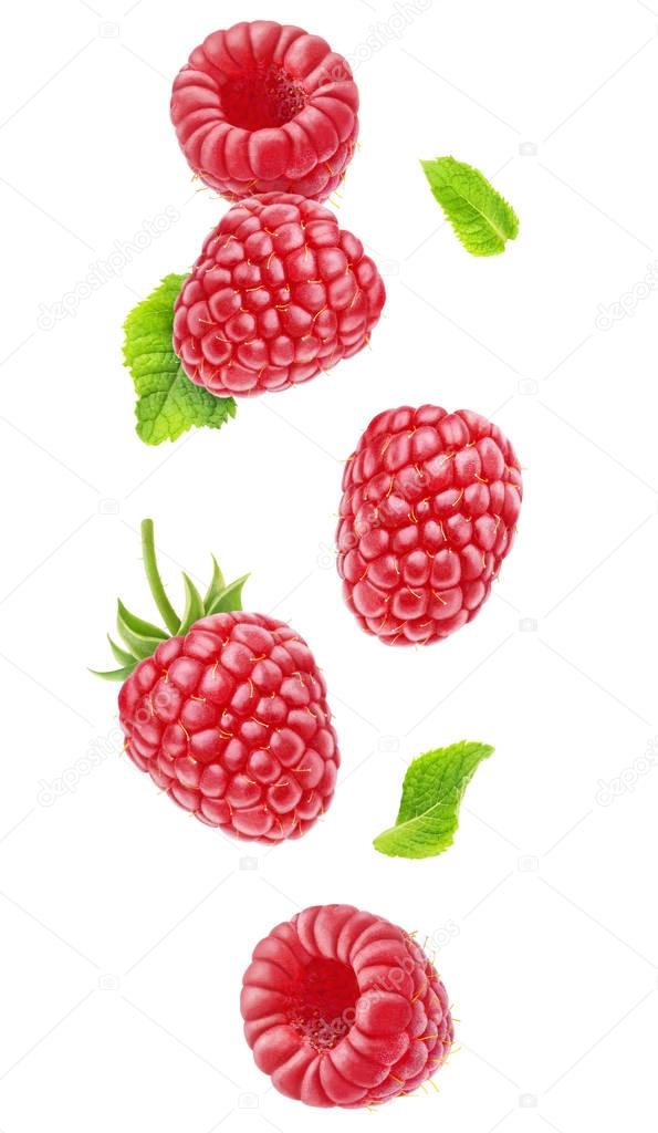 Isolated falling raspberries