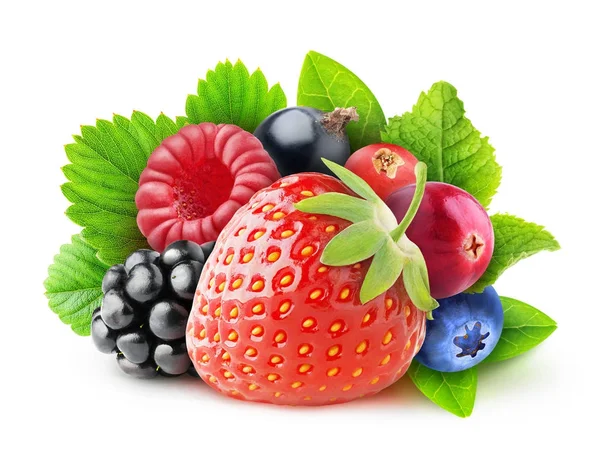 Изолированные свежие ягоды — стоковое фото