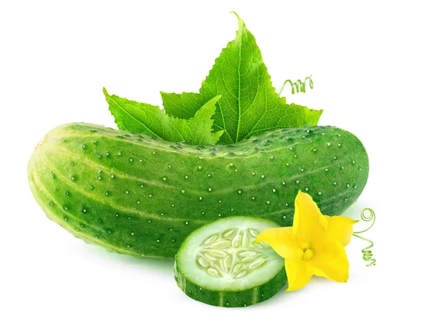 Isolated cucumber with flower and leaves — Stock Photo, Image