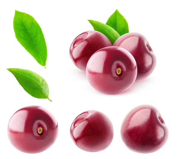 Paquete aislado de cerezas dulces — Foto de Stock