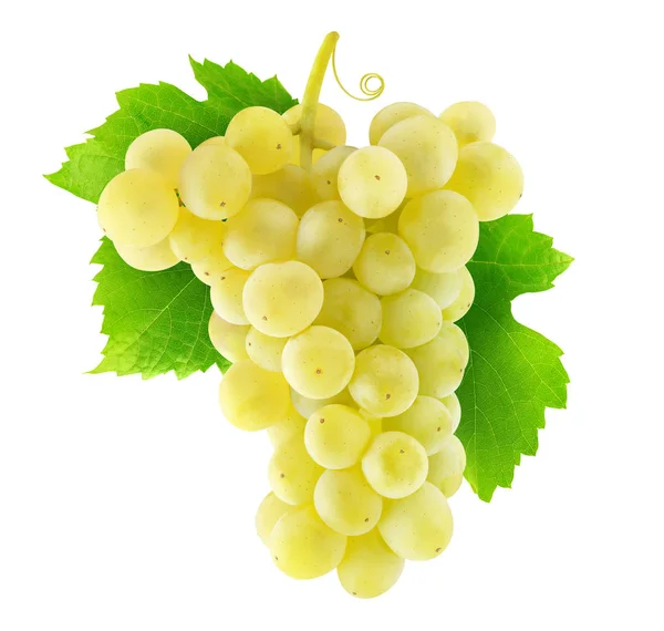 Isolated Thompson white grapes — Stock Photo, Image