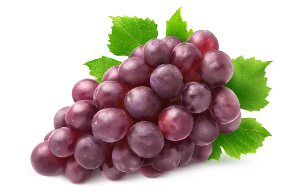 Izolált vörös szőlő — Stock Fotó