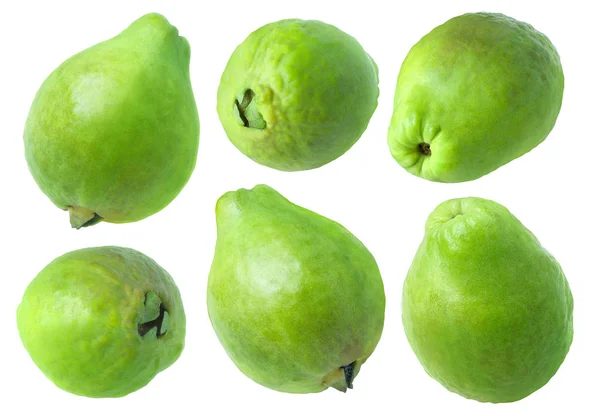 Isolerad Guava Insamling Hela Gröna Guava Frukter Isolerad Vit Bakgrund — Stockfoto