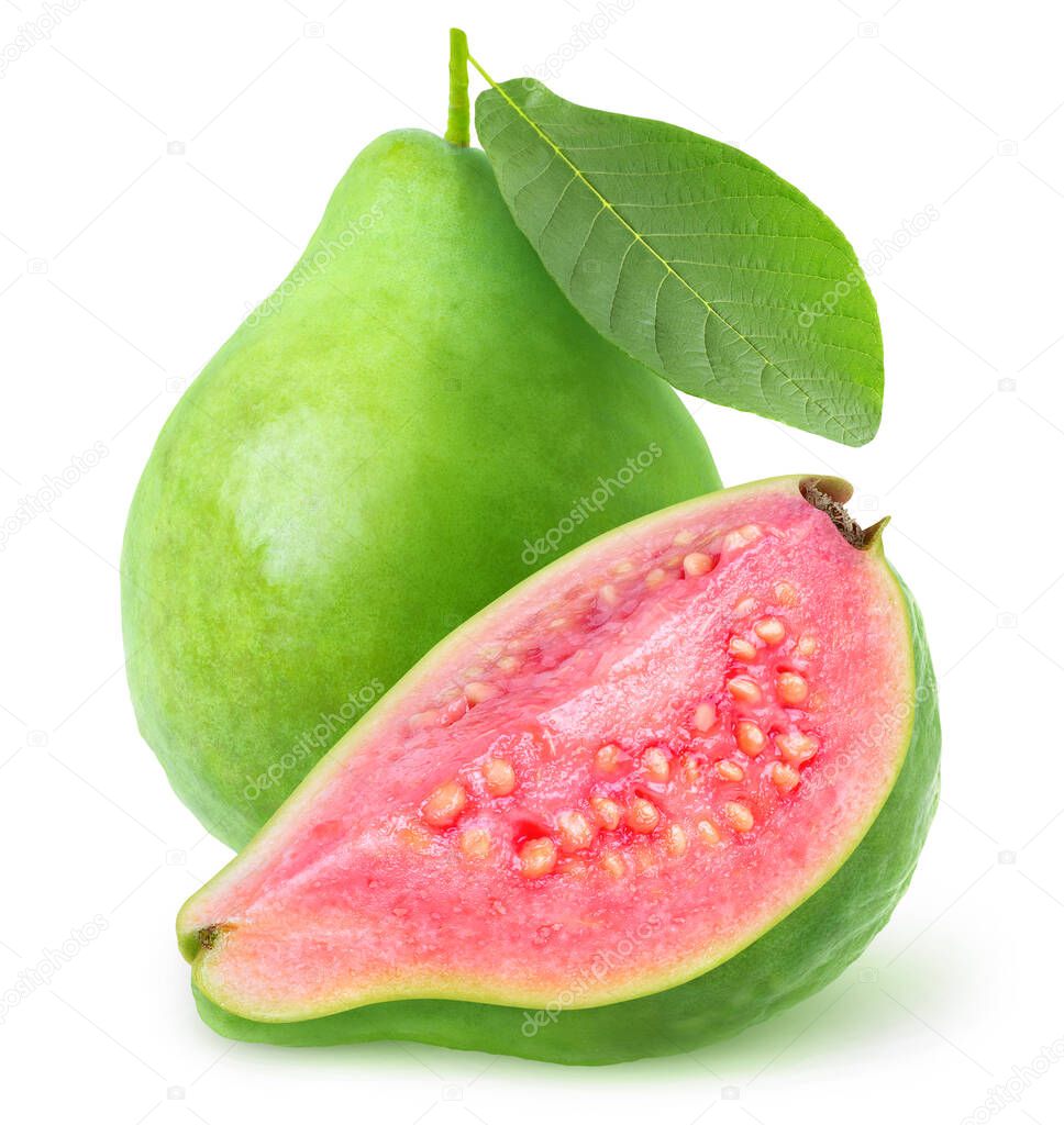 Isolated green guava fruit